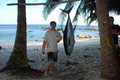 yellowfin tuna panama