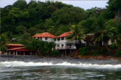 spearfishing-panama-fish