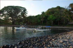 spearfishing-panama-fish