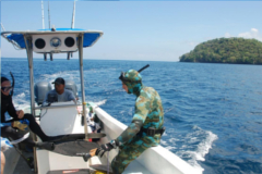 panama spearfishing