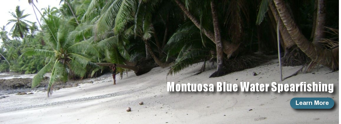 montuosa spearfishing
