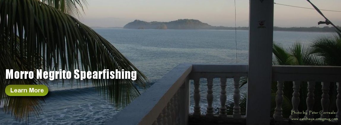 morro negrito spearfishing