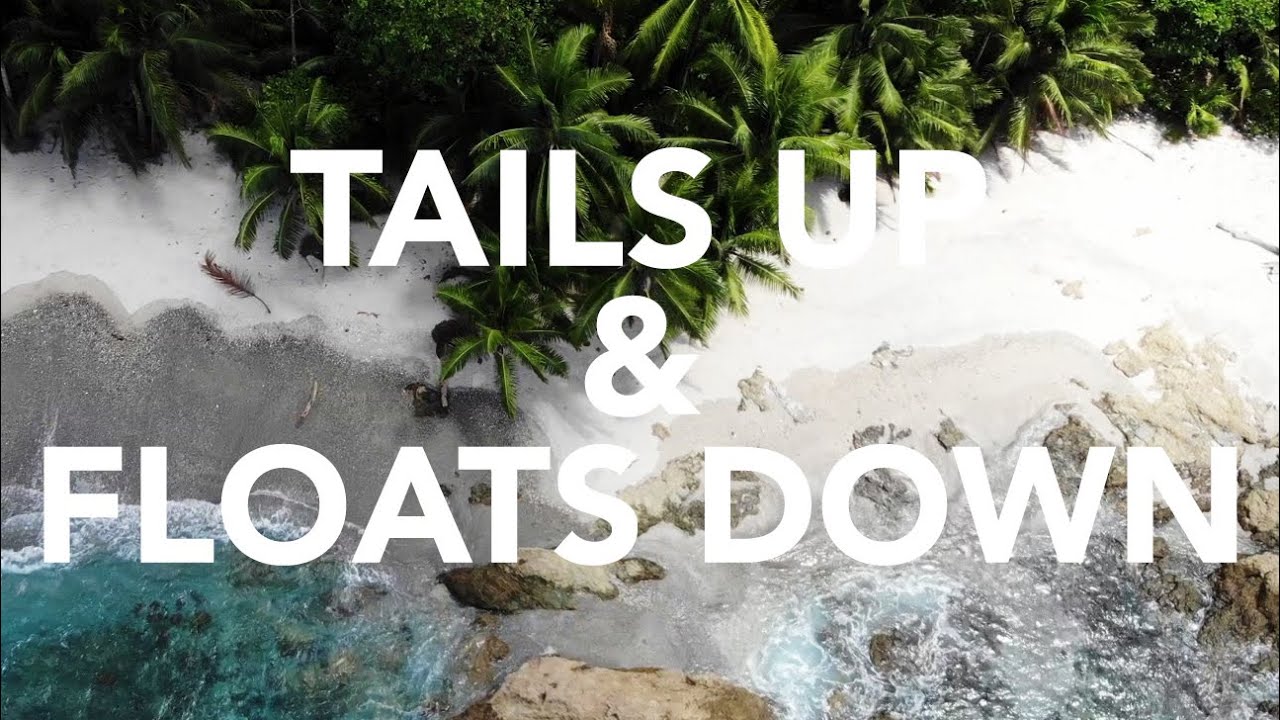 Tails Up & Floats Down – Spearfishing Video