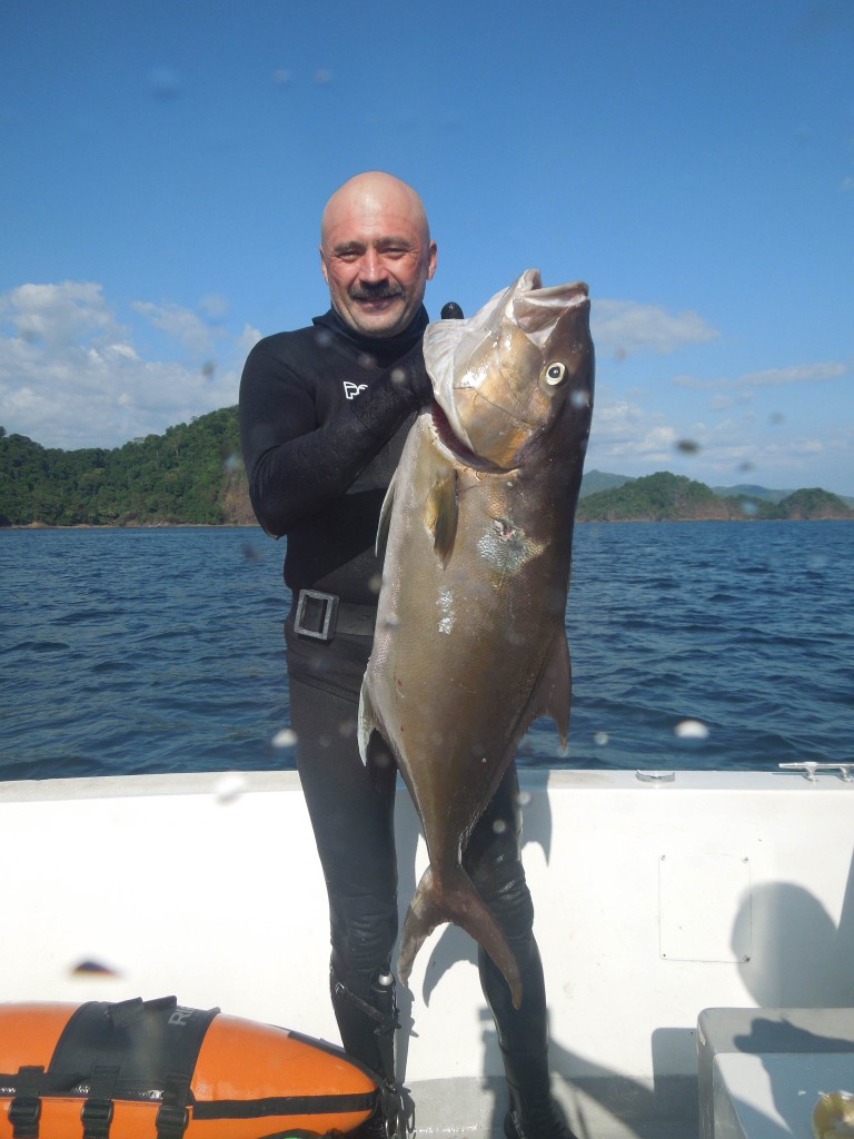 spearfishing amberjack 