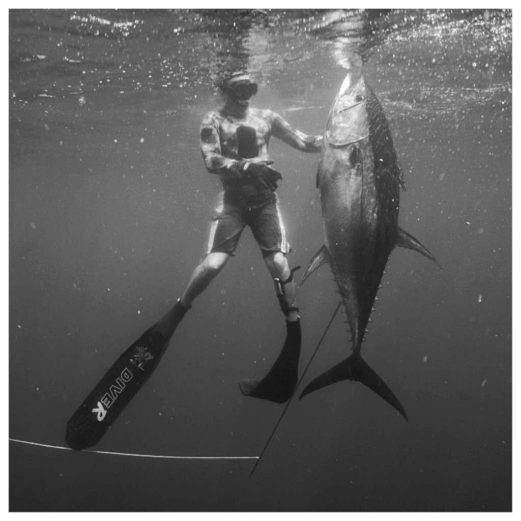 panama spearfishing tuna