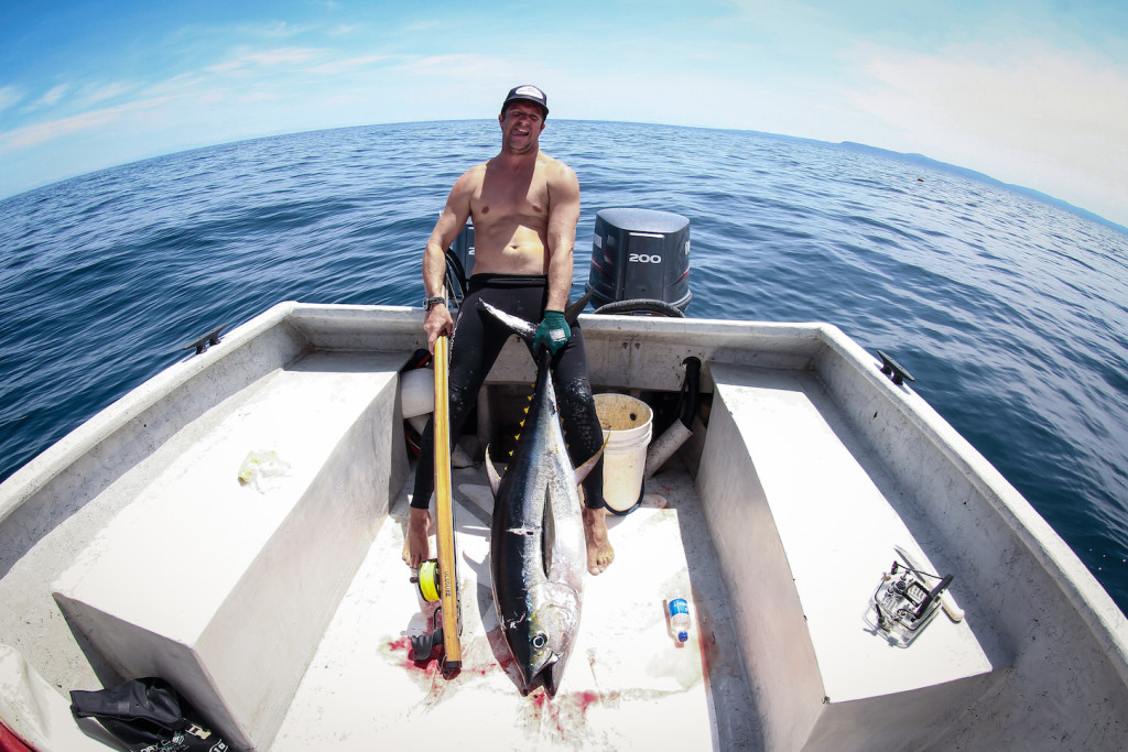 yellowfin tuna on boat