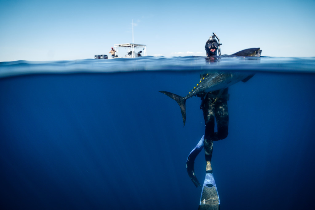 Spearfishing Panama (30 of 91)